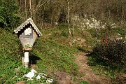 Alla ‘Madunina del Giong’ e ai Prati Parini ad anello da Botta di Sedrina il 12 nov. 2016 - FOTOGALLERY